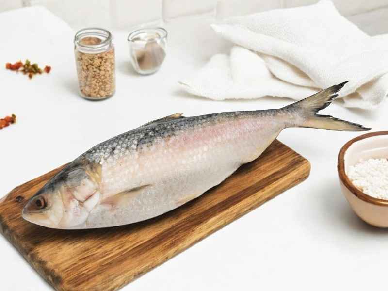 Hilsa Fish (Padma river) ( 1 kg - 1.2 kg) - Whole, Cut, Cleaned